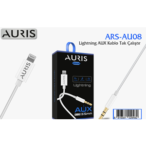 AU08 Lightning Aux Kablo